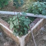 IMG20260814183015