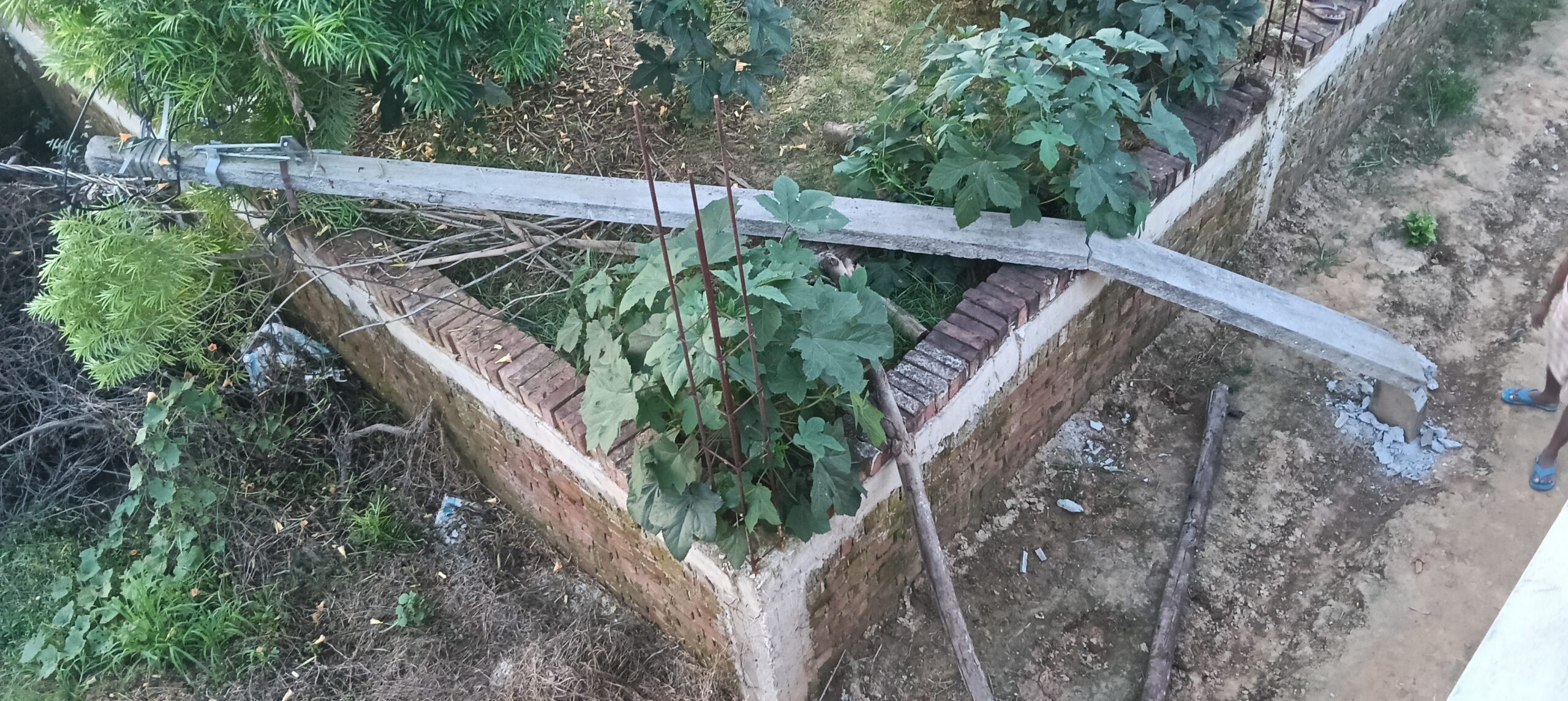 IMG20260814183015