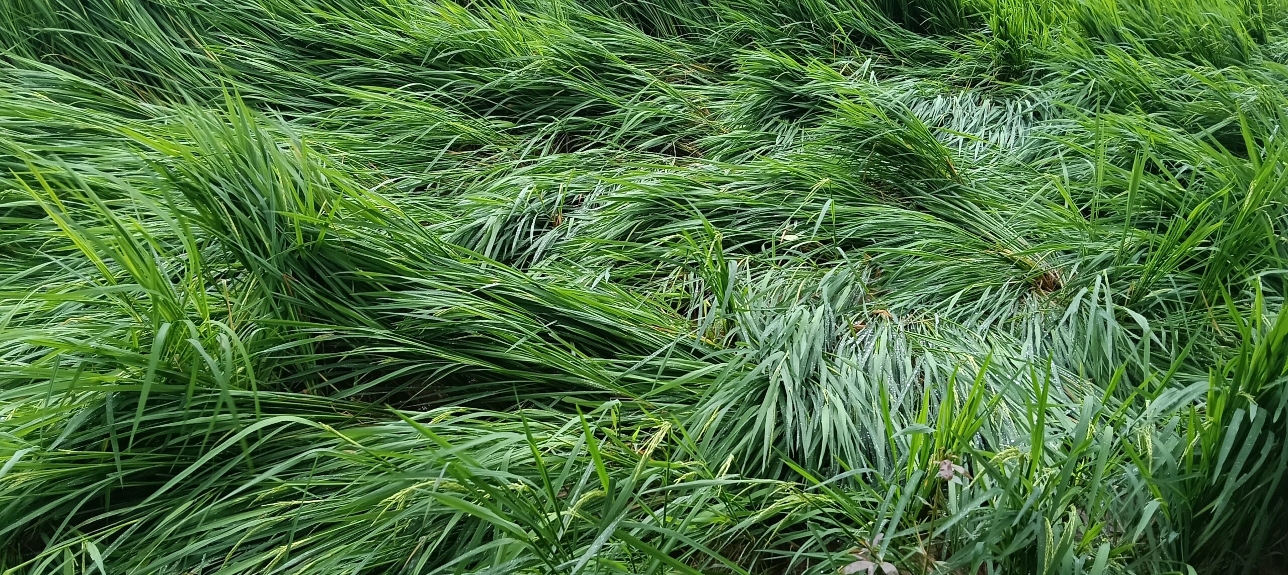 IMG20260926075611